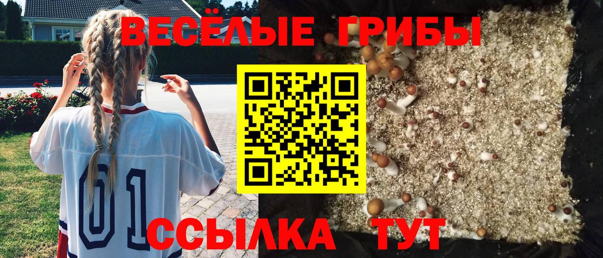 Кудымкар  Псилоцибиновые грибы мухоморы  Вход с VPN 