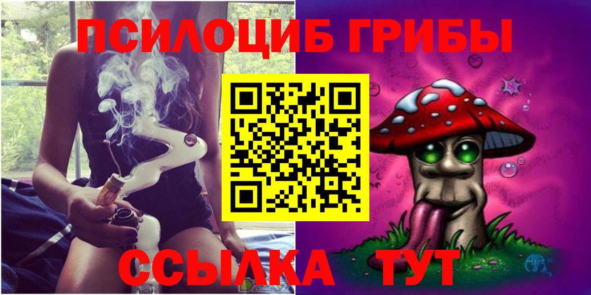 Галлюциногенные грибы Psilocybine cubensis Кудымкар